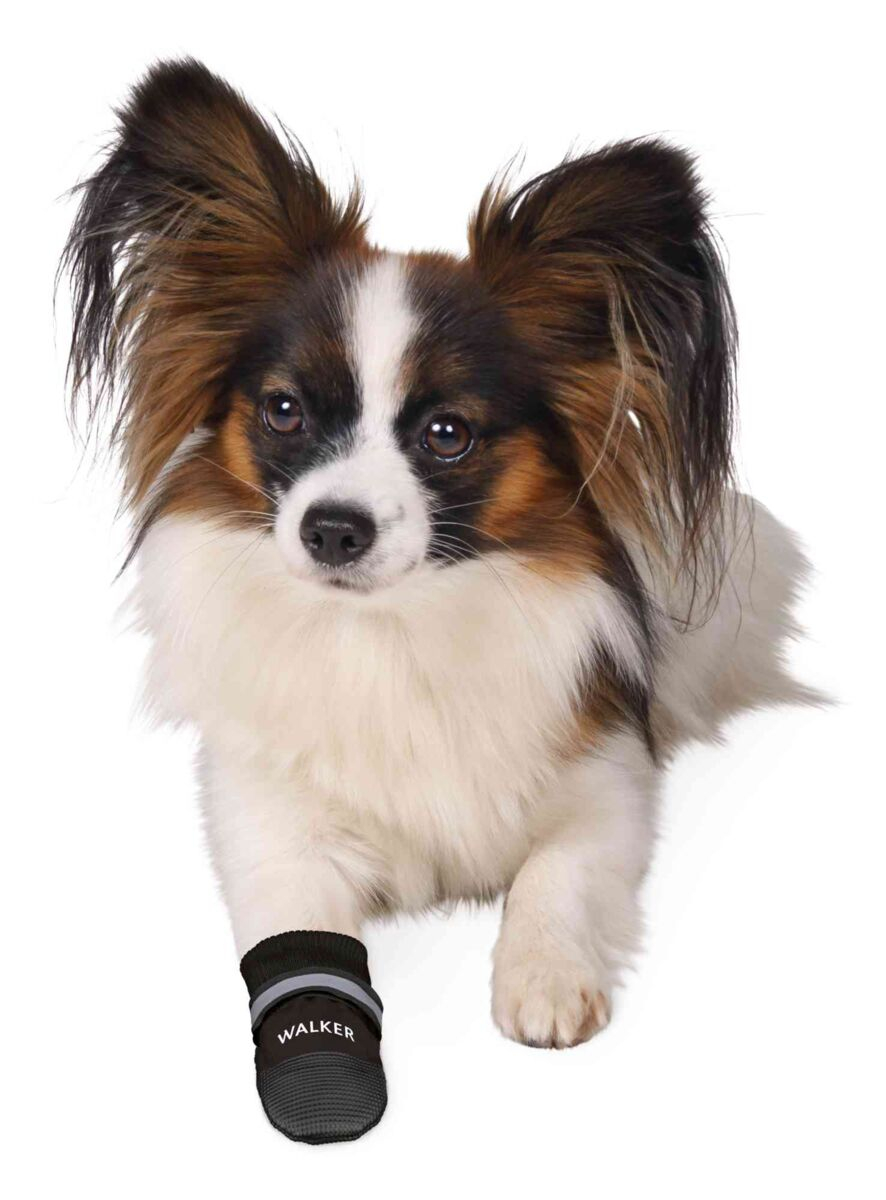 Trixie Pantofi Walker Care Comfort, Impermeabili, XL, 2 buc, Negru,19474 - imagine 7