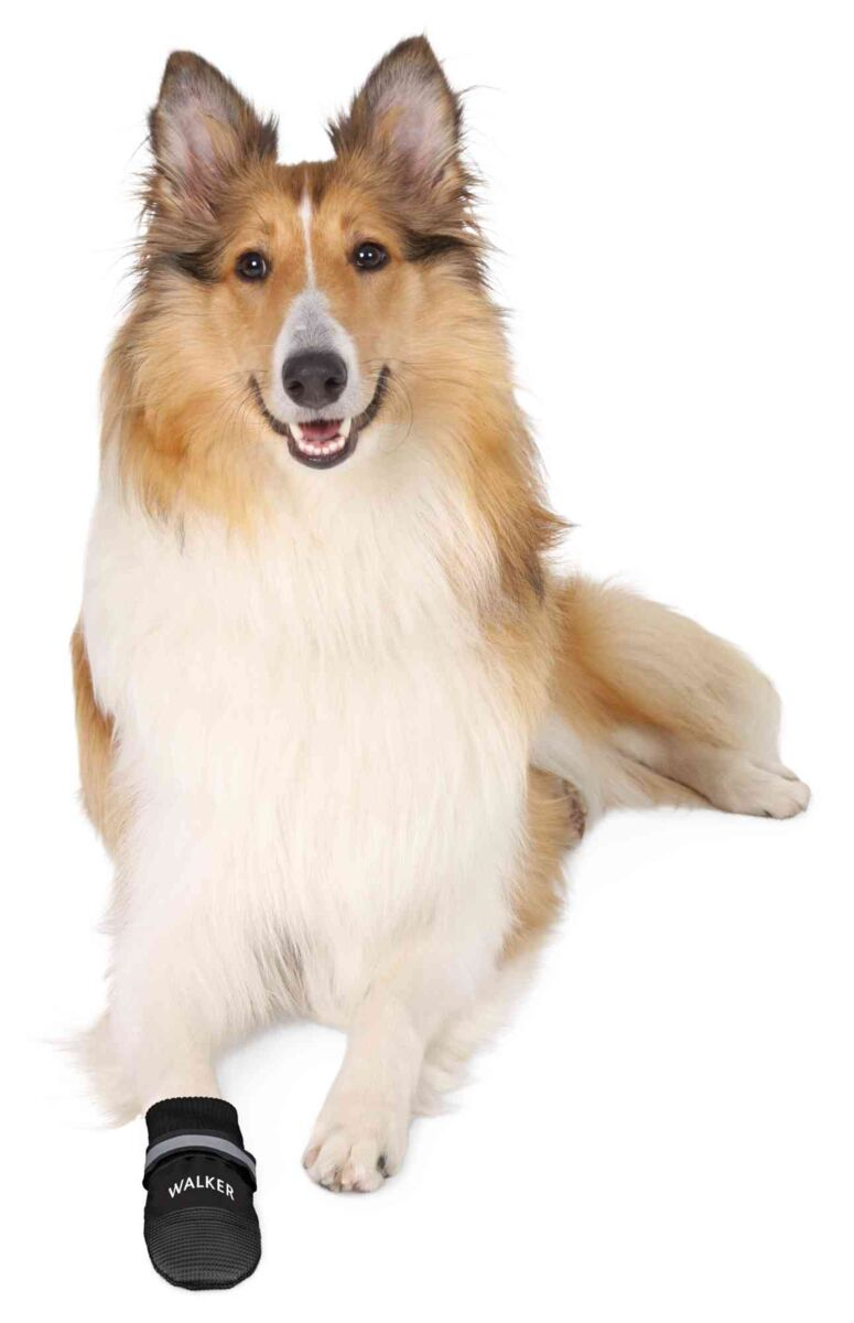 Trixie Pantofi Walker Care Comfort, Impermeabili, XL, 2 buc, Negru,19474 - imagine 9