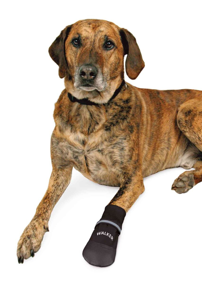 Trixie Pantofi Walker Care Comfort, Impermeabili, XXL, 2 buc, Negru, 19475 - imagine 10