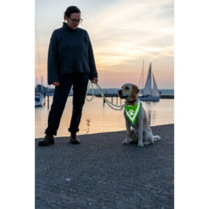 Trixie Esarfa Reflectorizanta, Bandana, S-M: 29-42 cm, 30122