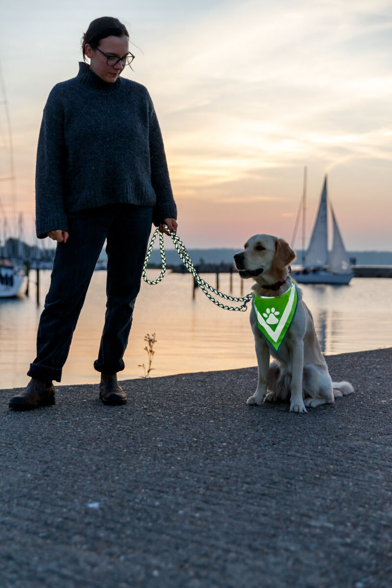 Trixie Esarfa Reflectorizanta, Bandana, L-XL: 43-60 cm, 30123 - imagine 4