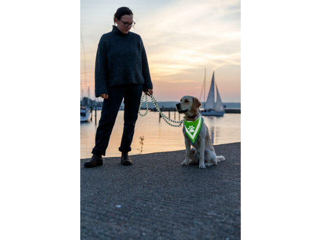 Trixie Esarfa Reflectorizanta, Bandana, L-XL: 43-60 cm, 30123