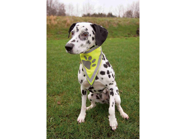 Trixie Esarfa Reflectorizanta, Bandana, L-XL: 43-60 cm, 30123 - imagine 3