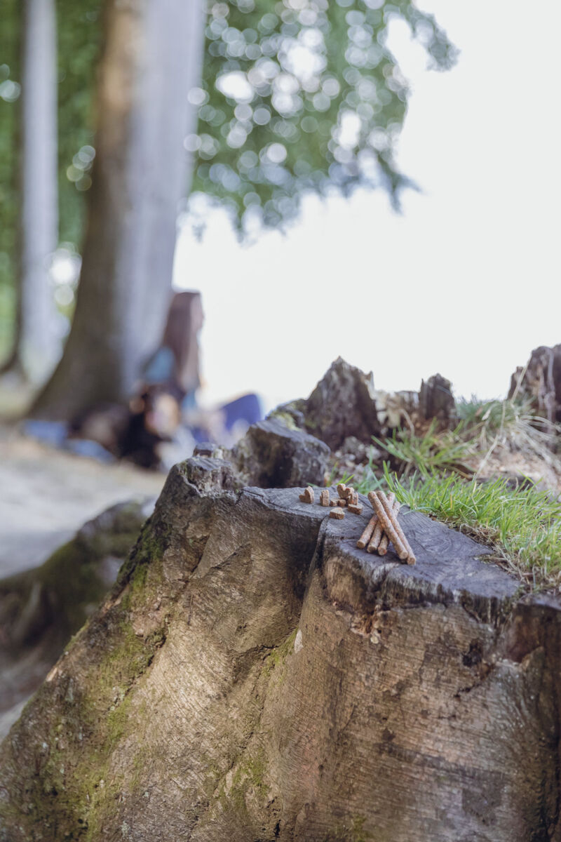 Trixie Recompense Pentru Caini Alergici, Betisoare De Insecte Cu Viermi De Faina, 80 g, 31659 - imagine 9