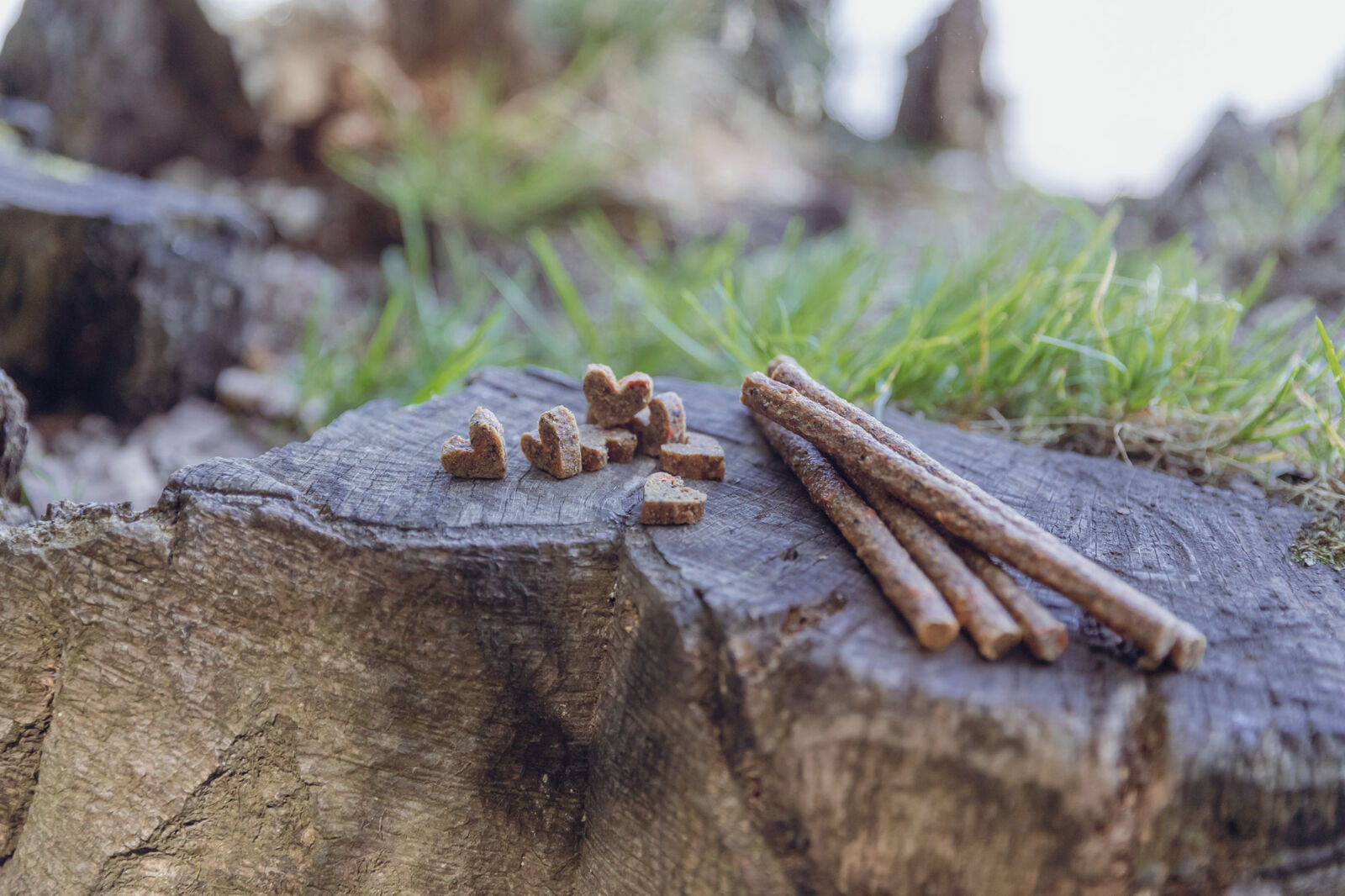 Trixie Recompense Pentru Caini Alergici, Betisoare De Insecte Cu Viermi De Faina, 80 g, 31659 - imagine 10