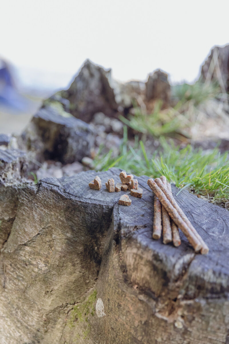 Trixie Recompense Pentru Caini Alergici, Betisoare De Insecte Cu Viermi De Faina, 80 g, 31659 - imagine 8