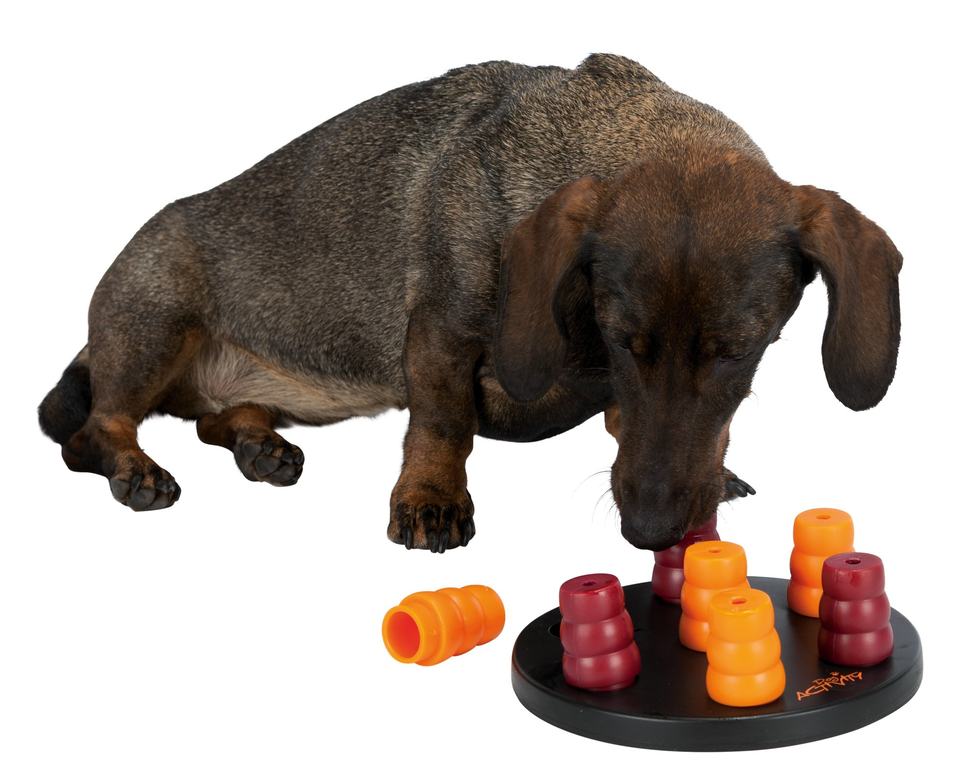 Trixie Jucarie Dog Activity, Mini Solitaire, 20 cm, 32023 - imagine 5