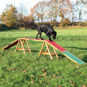 Trixie Barna Pentru Caini, Fun Agility, 456x64x30 cm, Pana la 80 kg, 32090