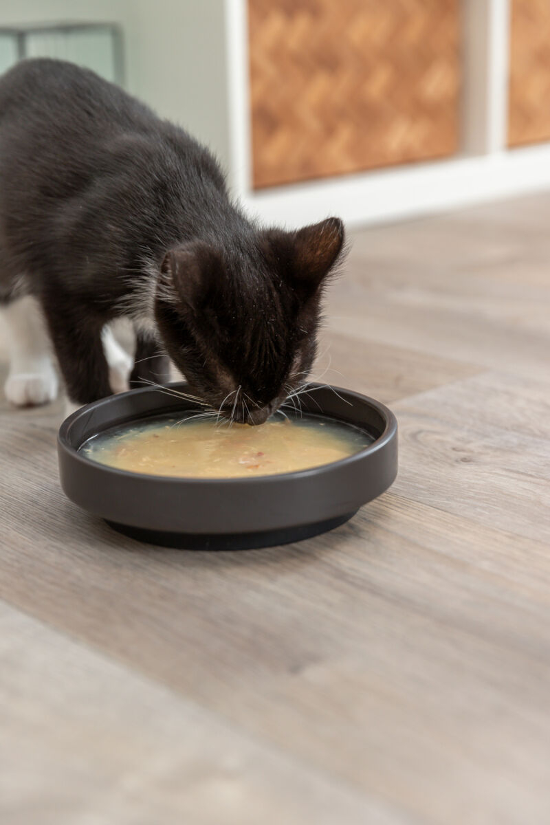 Trixie A(-15%) Hrana Pentru Pisici, Supa De Somon Si Pui, 80 g, 42690 - imagine 5