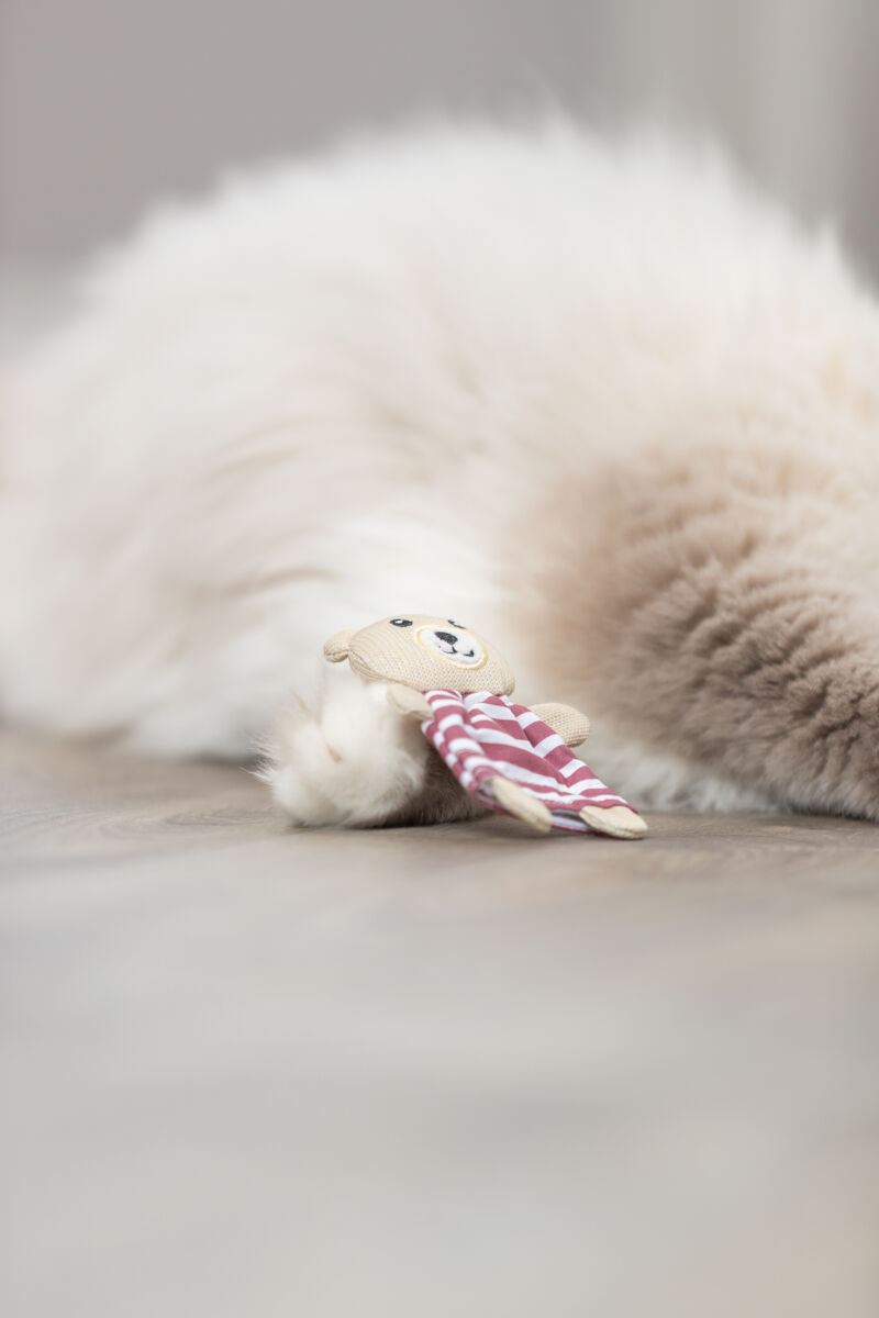 Trixie Jucarie Pentru Pisici, Ursulet Cu Catnip, 12 cm, Diverse Culori, 45665 - imagine 14