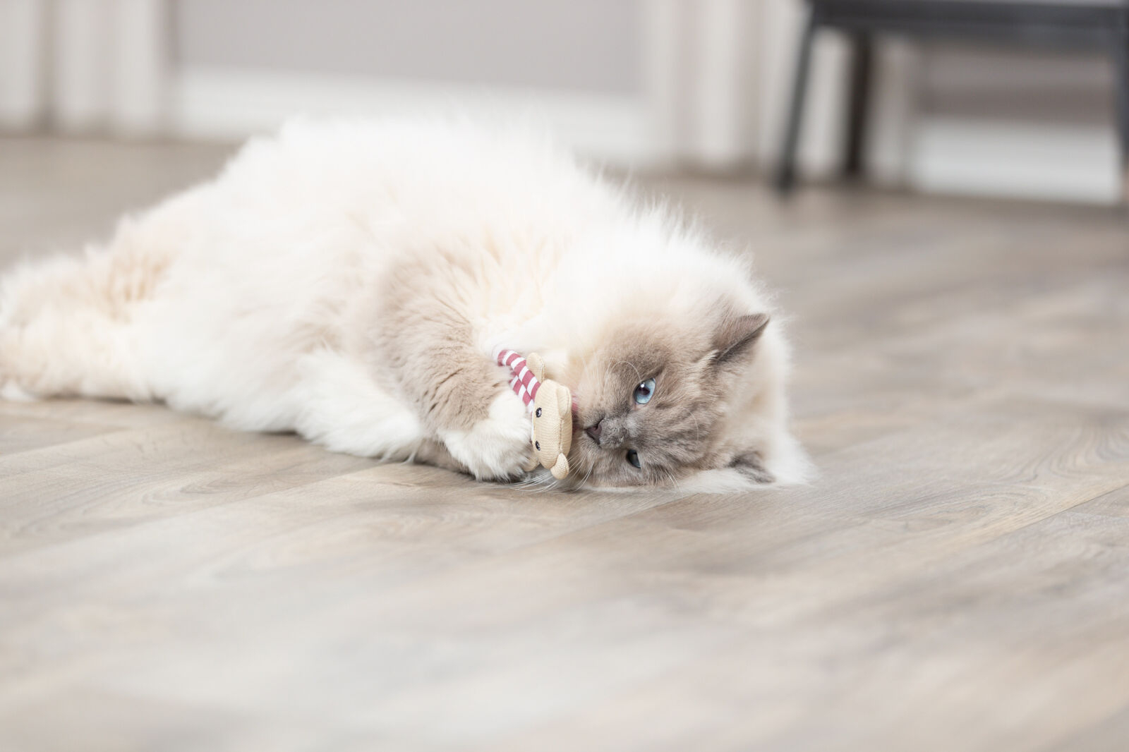 Trixie Jucarie Pentru Pisici, Ursulet Cu Catnip, 12 cm, Diverse Culori, 45665 - imagine 16