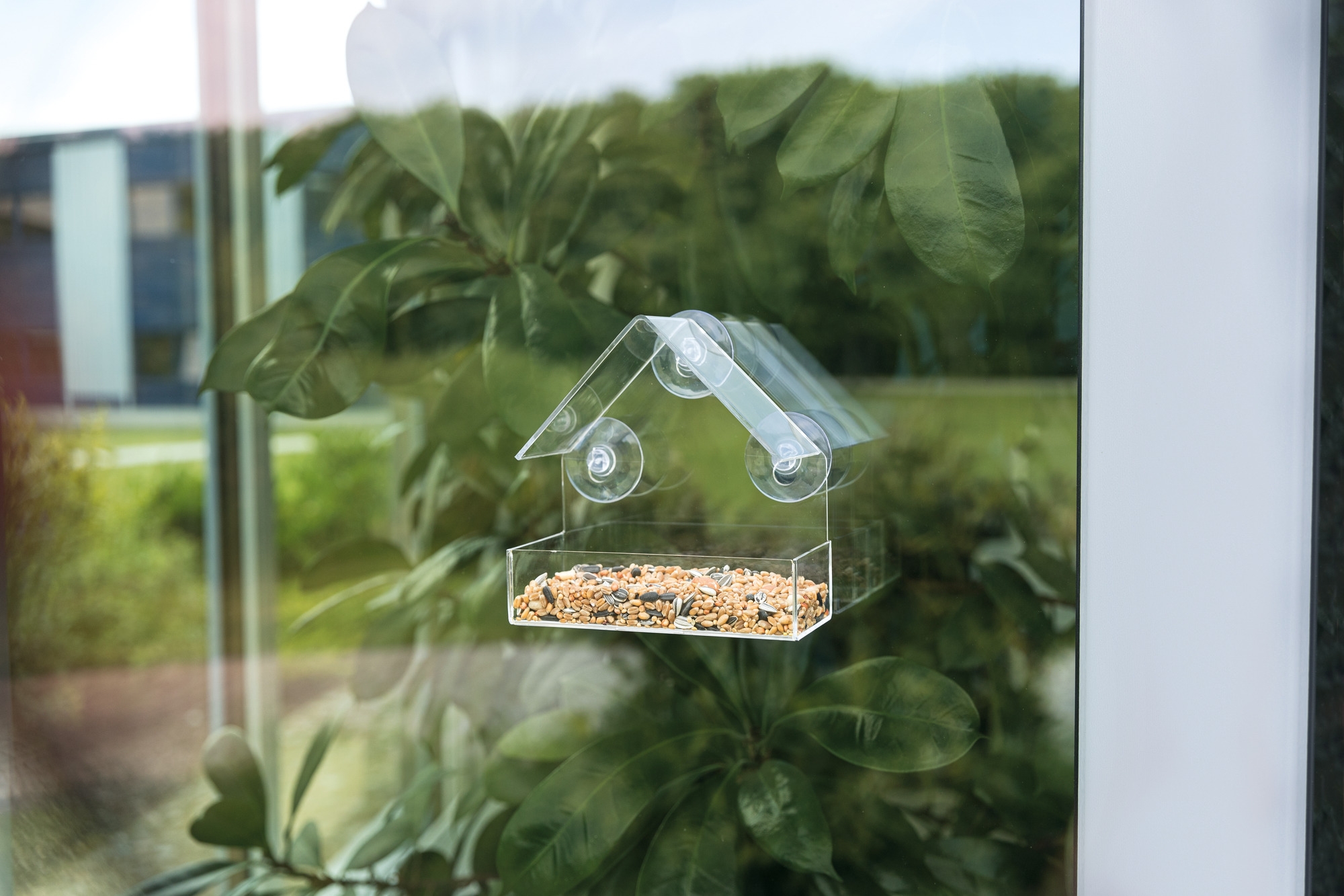 Trixie Hranitor Exterior, Atasare Pe Geam, 225 ml/15x15x6 cm, Transparent, 55610 - imagine 5