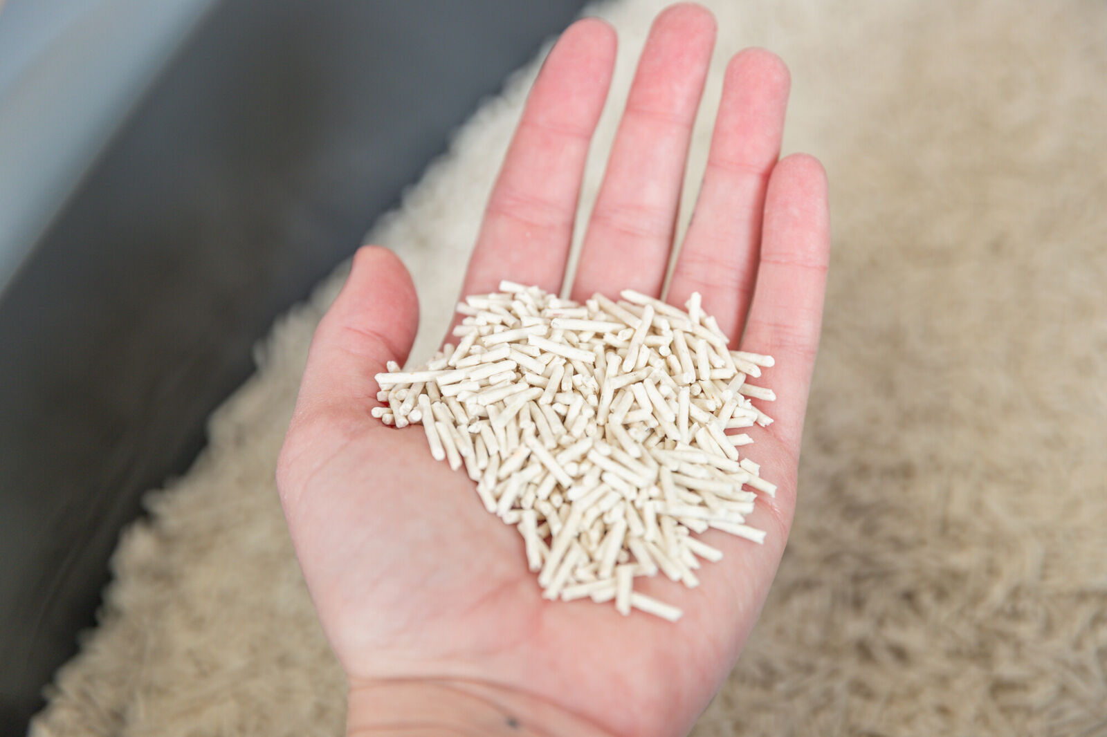 Trixie Asternut Tofu, 2.5 kg, 40250 - imagine 7