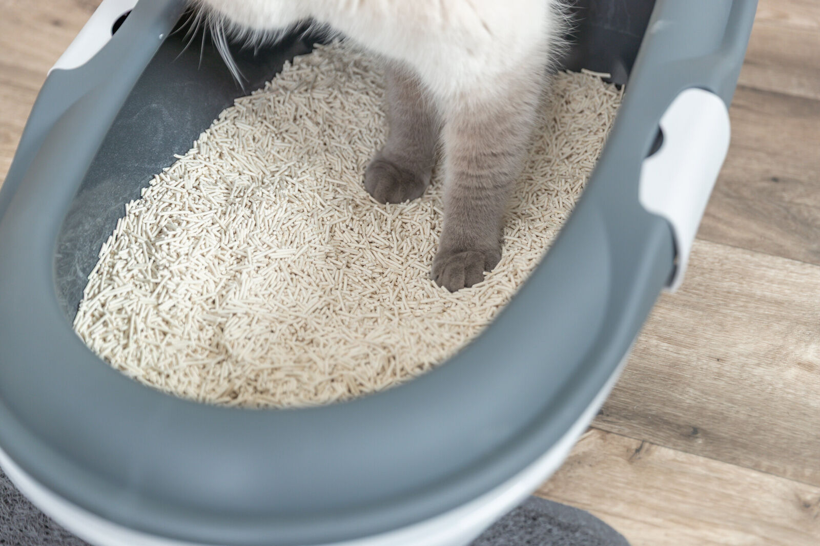 Trixie Asternut Tofu, 2.5 kg, 40250 - imagine 5