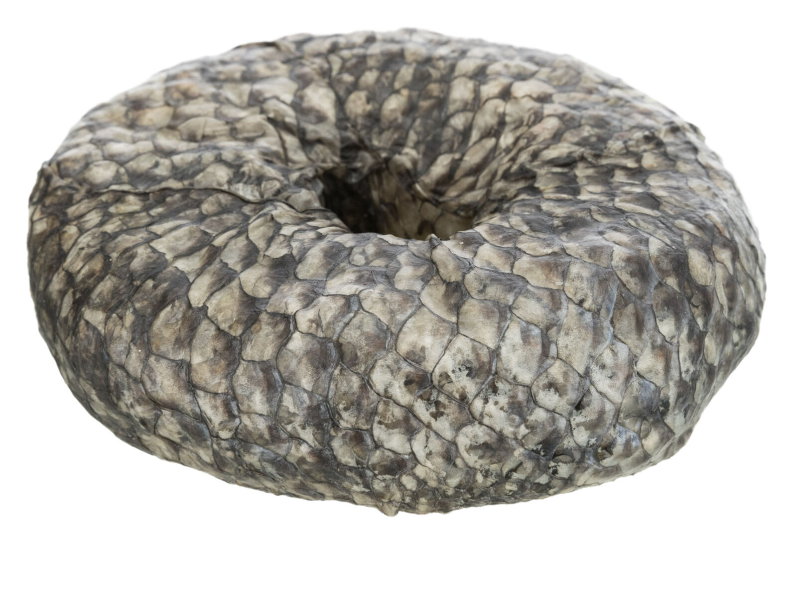 Trixie Recompensa Pentru Caini, Denta Fun, Inel De Mestecat Cu Peste, 10cm/110g, (10buc/Set)-Pret Bucata, 313341 - imagine 5