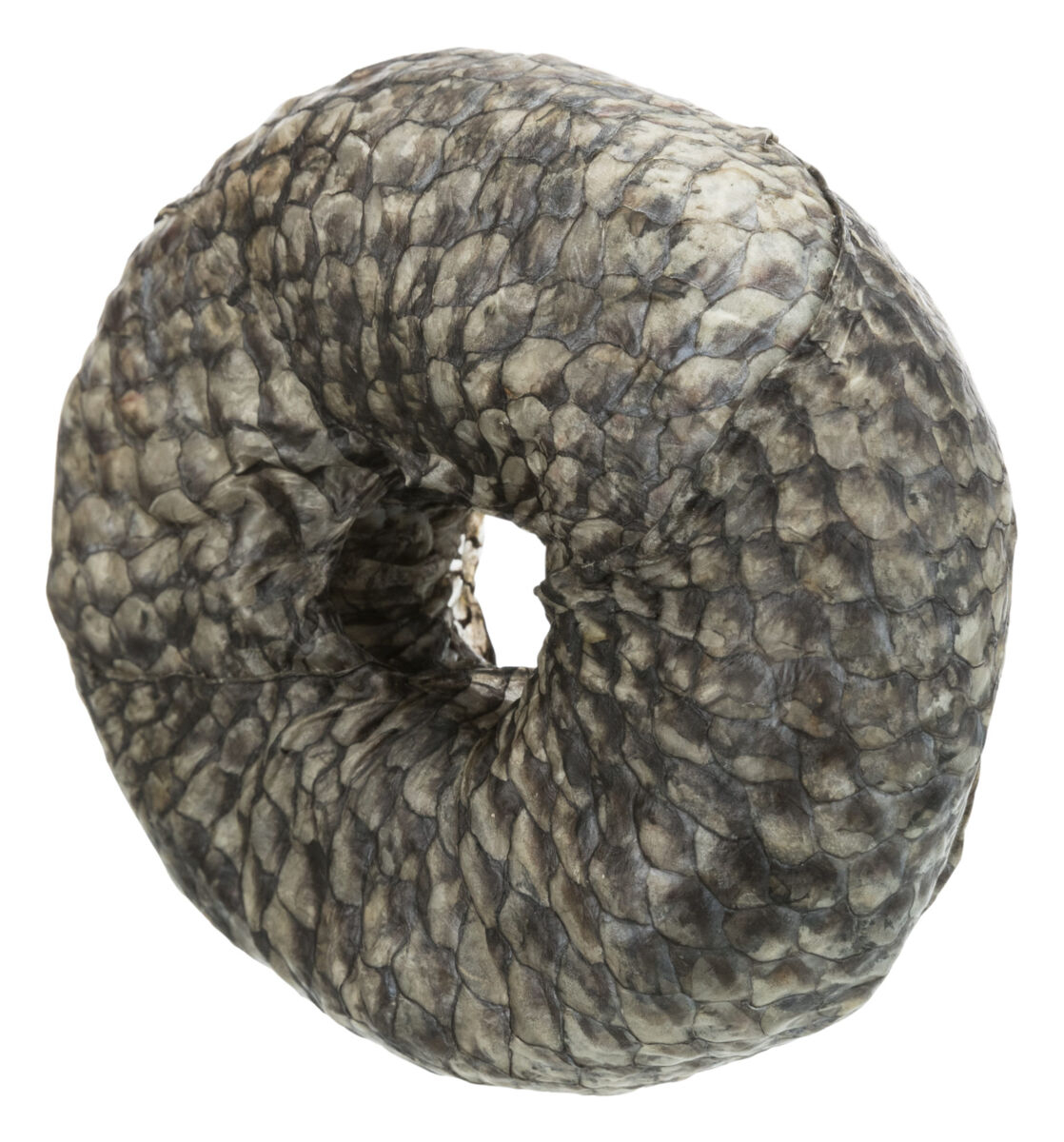 Trixie Recompensa Pentru Caini, Denta Fun, Inel De Mestecat Cu Peste, 10cm/110g, (10buc/Set)-Pret Bucata, 313341 - imagine 4