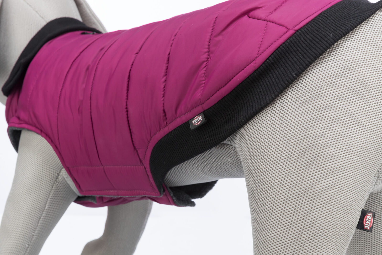 Trixie L(-27%)Hainuta Arlay, XXS: 24 cm, Visiniu, 680332 - imagine 11