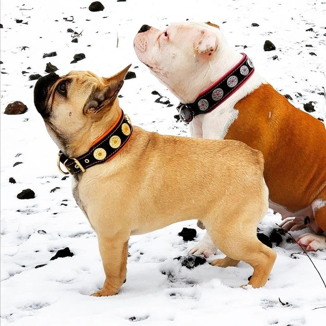 Bestia Zgarda Bijou, Piele Naturala, L: 42.5-50 cm, Negru/Roz, pentru Boxer, Retriever, etc - imagine 6