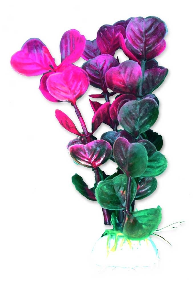 Happet Planta Artificiala Pentru Acvariu, Blister, 10 cm, Roz/Violet/Verde, 1B30 - imagine 3