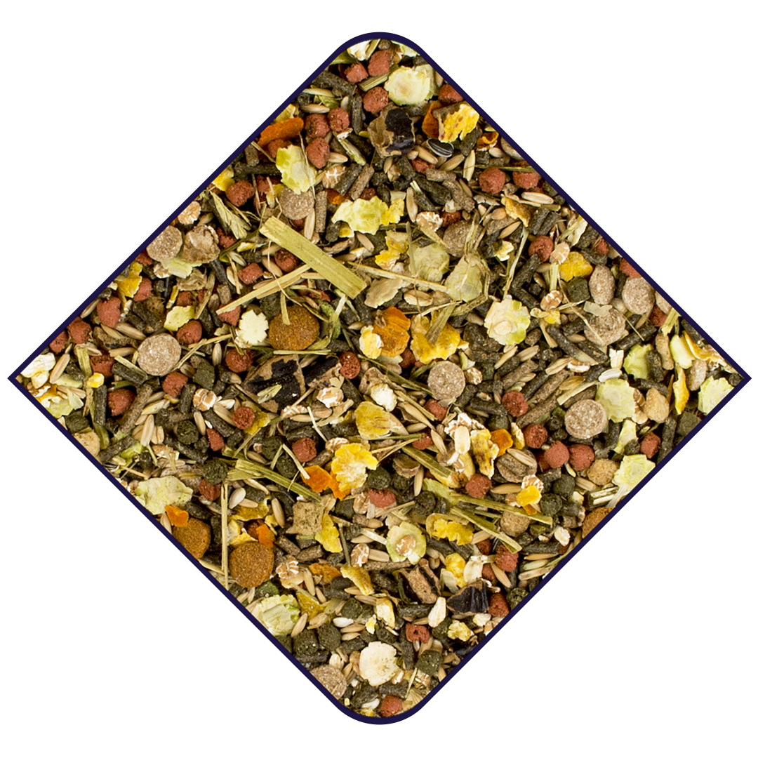 EXPERT Amestec de Seminte pentru Porcusori de Guinea, Premium, 15 kg, L655073 - imagine 3