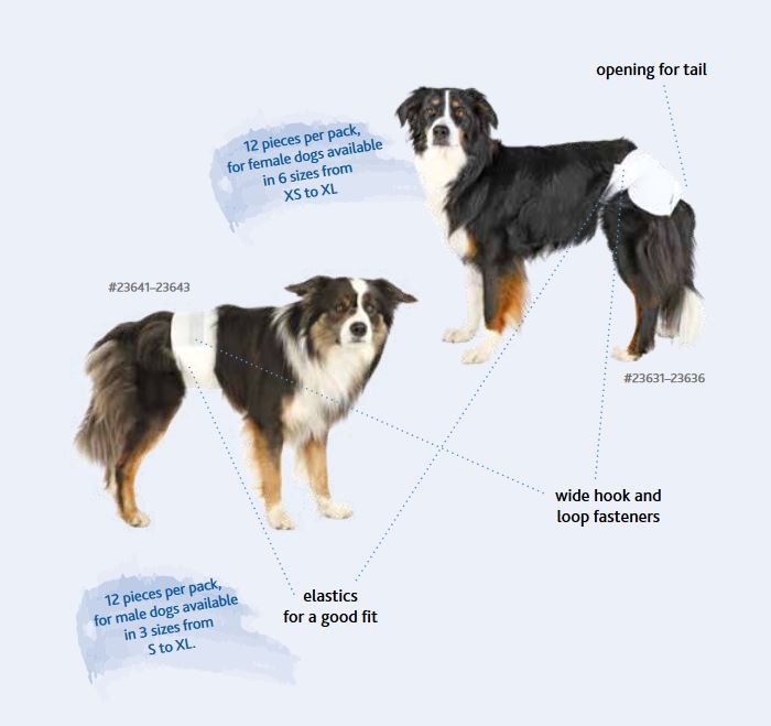 Trixie Scutece Pentru Caini Femele, S-M: 28-40 cm, 12 buc, 23632 - imagine 8